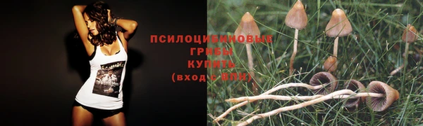 таблы Алзамай