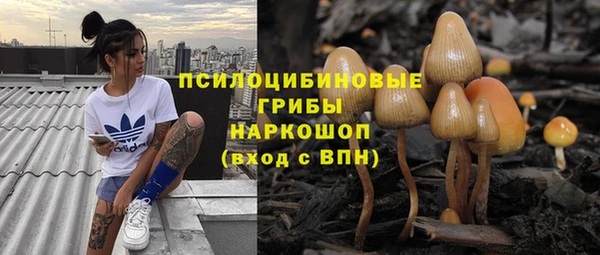 спиды Алексеевка