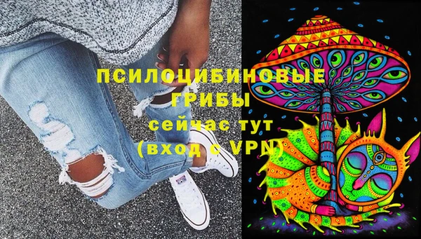 спиды Алексеевка