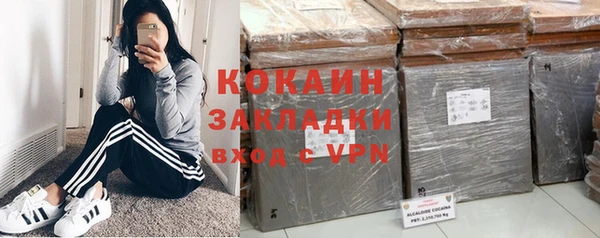 твердый Алексин
