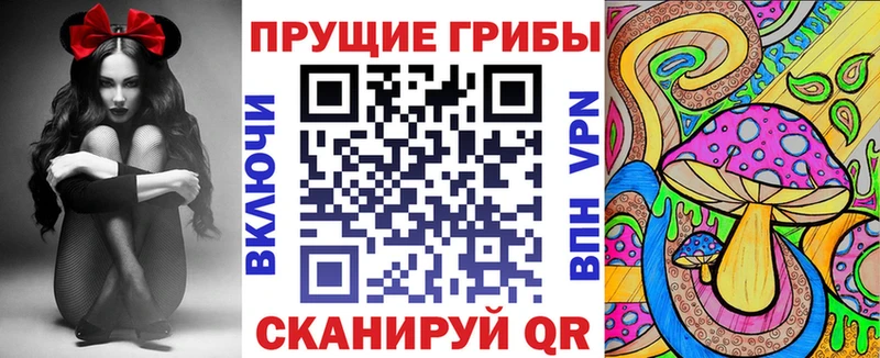 Псилоцибиновые грибы MAGIC MUSHROOMS  Инсар 