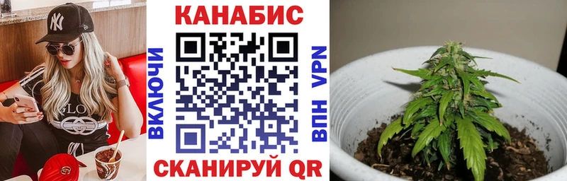 где купить наркоту  МЕГА как зайти  Шишки марихуана индика  Инсар 