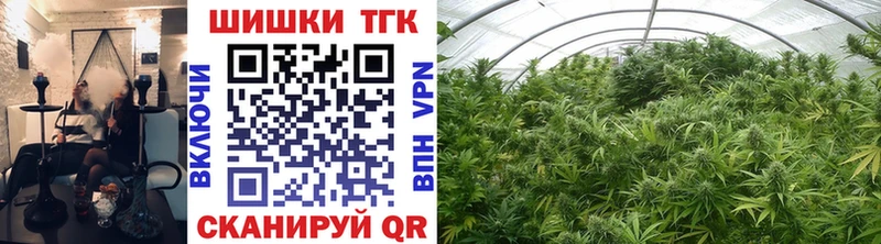 Канабис планчик Инсар